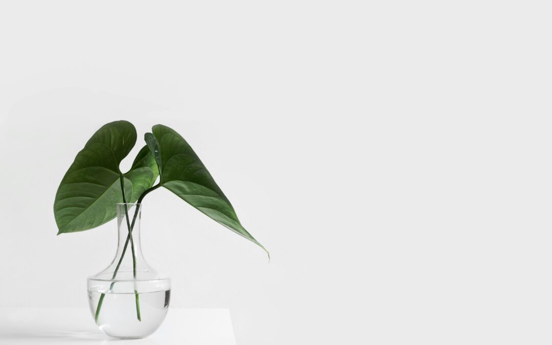 Le minimalisme